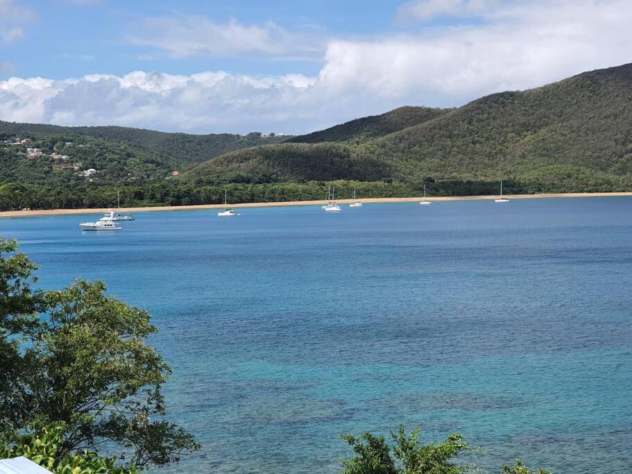 Apartmán Vwe Moun Bay Deshaies Exteriér fotografie